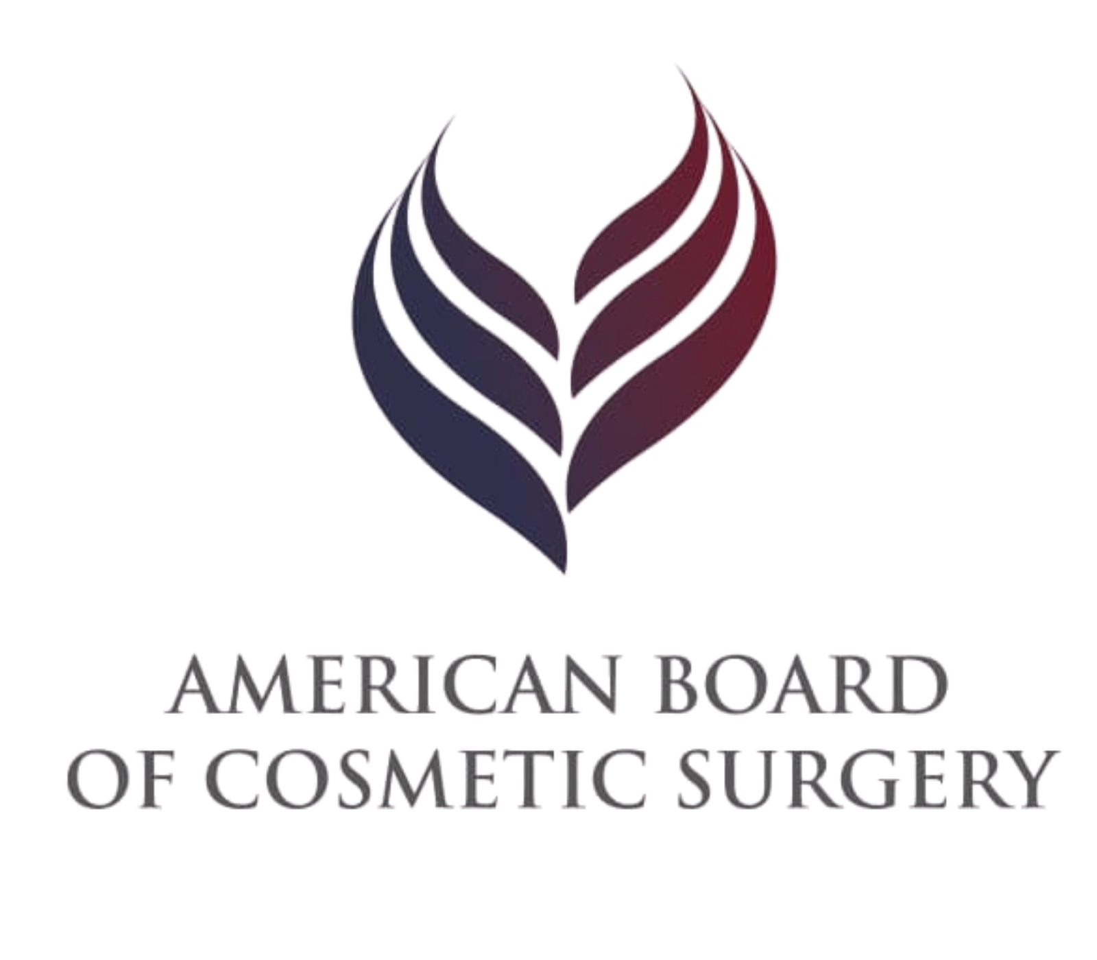 American Board of Cosmetic Surgery